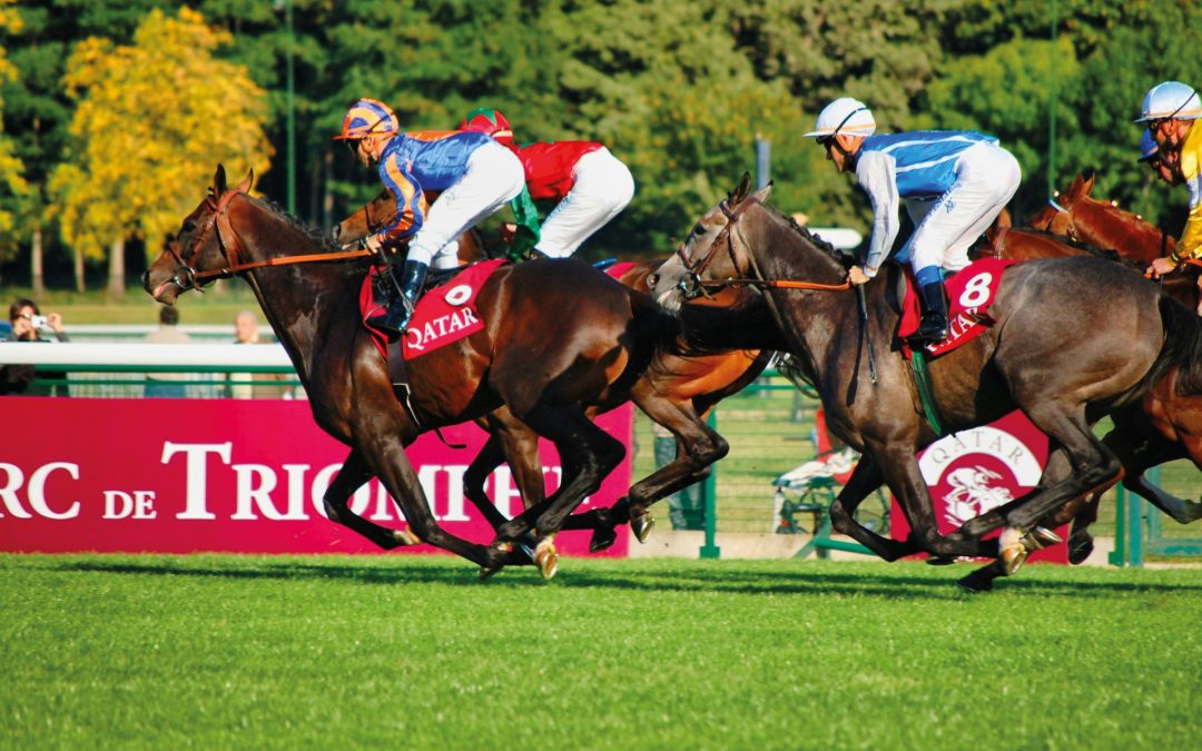 Race Night